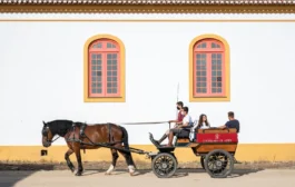 Vila Galé Collection Alter Real y Vila Galé Collection Elvas. los tesoros de Portugal: el Alentejo.