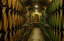 Cien Años de Vino y Tradición en Rioja